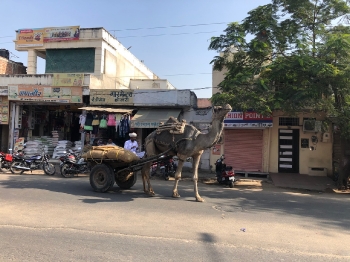 Ahmedabad_24